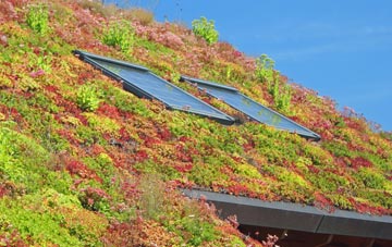 Blidworth Dale living roof systems